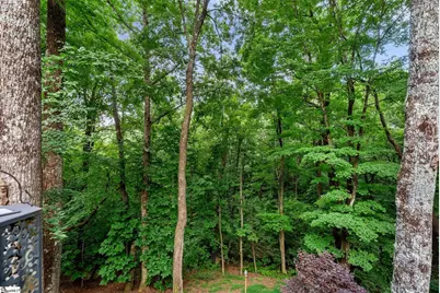 110 Panther Mountain Road, Zirconia, NC 28790 - Photo 29