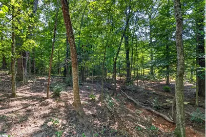 316 Oak Grove Road, Landrum, SC 29356 - Photo 29