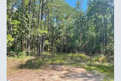 00 Riverfork Road, Waterloo, SC 29384 - Photo 13