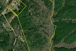 00 Riverfork Rd, Waterloo, SC 29384 - Photo 1