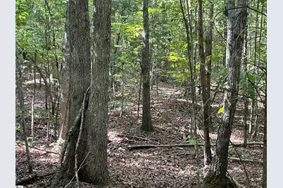 00 Riverfork Road, Waterloo, SC 29384 - Photo 29