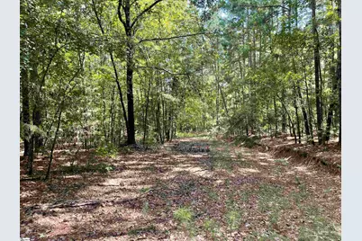 00 Riverfork Road, Waterloo, SC 29384 - Photo 17