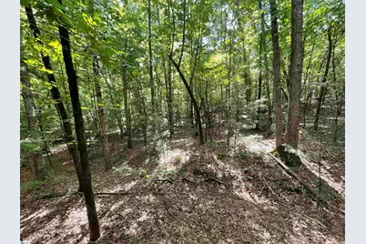 00 Riverfork Road, Waterloo, SC 29384 - Photo 31