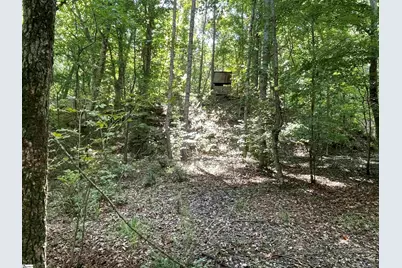 00 Riverfork Road, Waterloo, SC 29384 - Photo 25