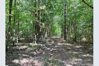 00 Riverfork Road, Waterloo, SC 29384 - Photo 19