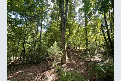 00 Riverfork Road, Waterloo, SC 29384 - Photo 21