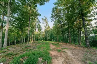 200 Chestnut Mountain Rd, Travelers Rest, SC 29690 - Photo 1