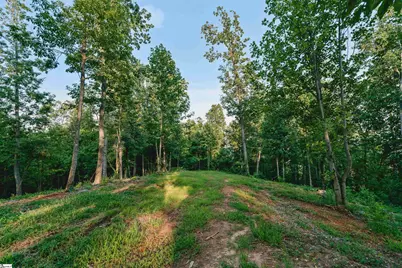 200 Chestnut Mountain Road #Lot 1, Travelers Rest, SC 29690 - Photo 7