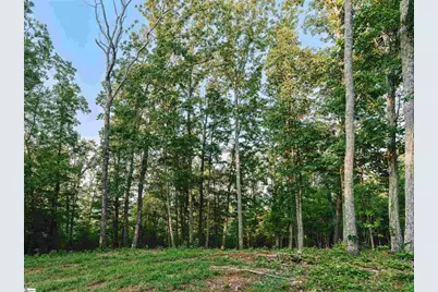 200 Chestnut Mountain Road #Lot 1, Travelers Rest, SC 29690 - Photo 3