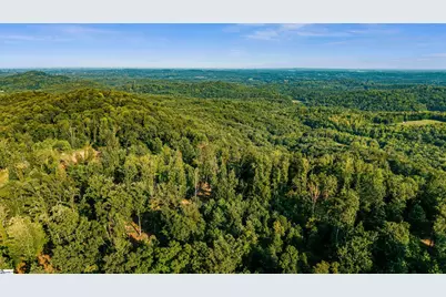 200 Chestnut Mountain Road #Lot 1, Travelers Rest, SC 29690 - Photo 9