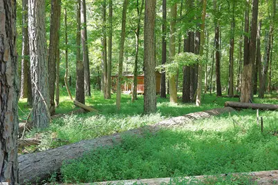 214 Sulpher Springs Road, Pauline, SC 29374 - Photo 33