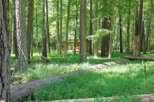 214 Sulpher Springs Rd, Pauline, SC 29374 - Photo 33