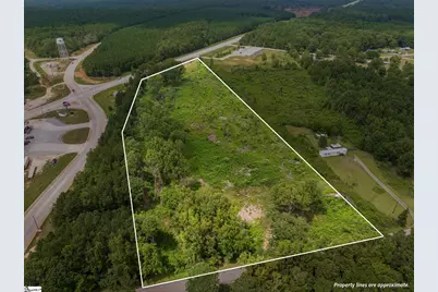 00 Puckett Ferry Road, Cross Hill, SC 29332 - Photo 1