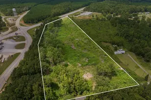 00 Puckett Ferry Rd, Cross Hill, SC 29332 - Photo 1