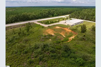 00 Puckett Ferry Road, Cross Hill, SC 29332 - Photo 13