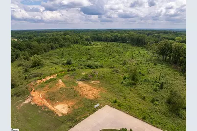 00 Puckett Ferry Road, Cross Hill, SC 29332 - Photo 15