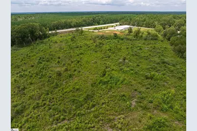 00 Puckett Ferry Road, Cross Hill, SC 29332 - Photo 3