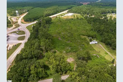 00 Puckett Ferry Road, Cross Hill, SC 29332 - Photo 11