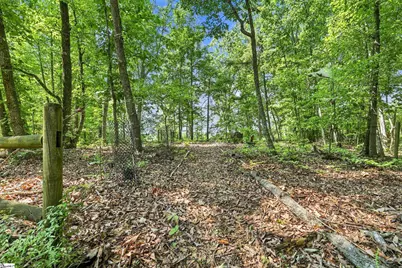 87 Robertson Road, Travelers Rest, SC 29690 - Photo 29