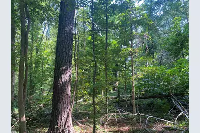 18812 Highway 72 East, Clinton, SC 29325 - Photo 19