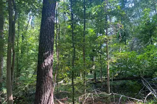 18812 Highway 72 E, Clinton, SC 29325 - Photo 19