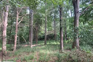 18812 Highway 72 E, Clinton, SC 29325 - Photo 11