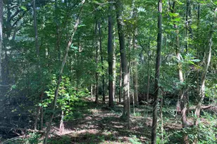 18812 Highway 72 E, Clinton, SC 29325 - Photo 23