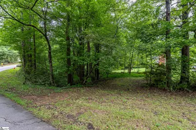 1411 Bailey Mill Road, Travelers Rest, SC 29690 - Photo 19