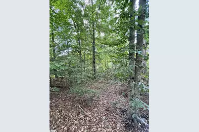 [Address not provided], Greer, SC 29650 - Photo 9