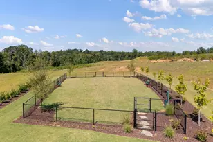 1262 Balsa Tree Dr, Spartanburg, SC 29306 - Photo 29