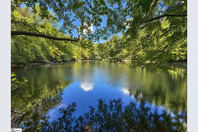 850 Tigerville Road, Travelers Rest, SC 29690 - Photo 7