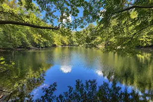 850 Tigerville Rd, Travelers Rest, SC 29690 - Photo 7