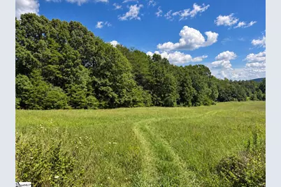 850 Tigerville Road, Travelers Rest, SC 29690 - Photo 5