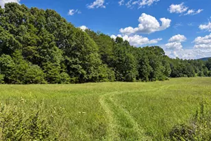 850 Tigerville Rd, Travelers Rest, SC 29690 - Photo 5