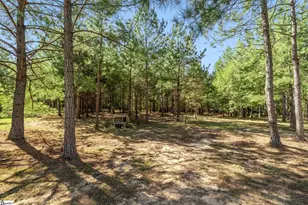 242 Mattie Campbell Rd, Honea Path, SC 29654 - Photo 31