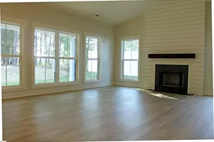 207 Palmetto Farms Way, Pelzer, SC 29669 - Photo 11