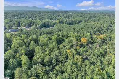 0 S Bomar Avenue, Landrum, SC 29356 - Photo 3