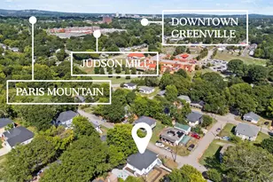 44 4th Ave, Greenville, SC 29611 - Photo 43