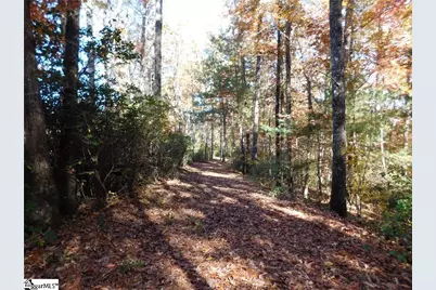 130 Cliffs Falls Parkway, Salem, SC 29676 - Photo 11