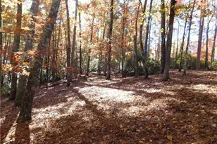 130 Cliffs Falls Pkwy, Salem, SC 29676 - Photo 1