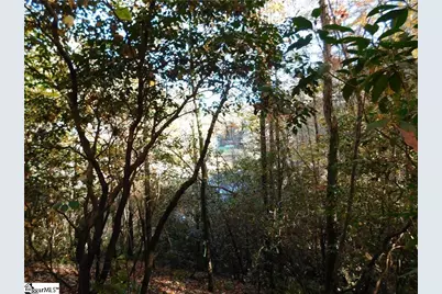 130 Cliffs Falls Parkway, Salem, SC 29676 - Photo 7