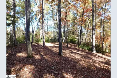130 Cliffs Falls Parkway, Salem, SC 29676 - Photo 9