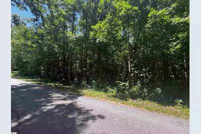 00 Fifth Avenue Extension, Clinton, SC 29325 - Photo 1