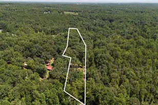 100 Belvue Rd, Travelers Rest, SC 29690 - Photo 35