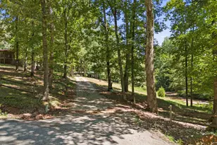 100 Belvue Rd, Travelers Rest, SC 29690 - Photo 31