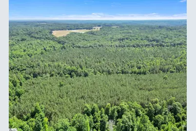 00 Simpson Mill Road, Laurens, SC 29360 - Photo 11