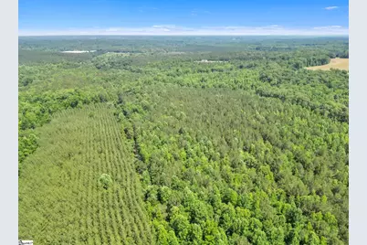 00 Simpson Mill Road, Laurens, SC 29360 - Photo 15