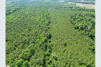 00 Simpson Mill Road, Laurens, SC 29360 - Photo 5