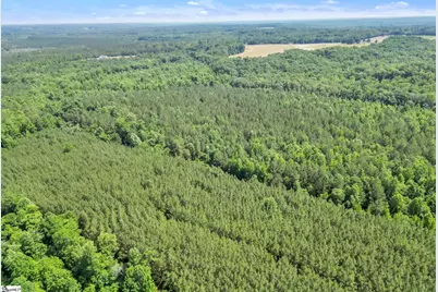 00 Simpson Mill Road, Laurens, SC 29360 - Photo 13