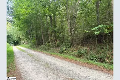 00 Simpson Mill Road, Laurens, SC 29360 - Photo 17